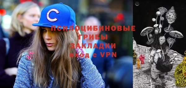 бошки Армянск