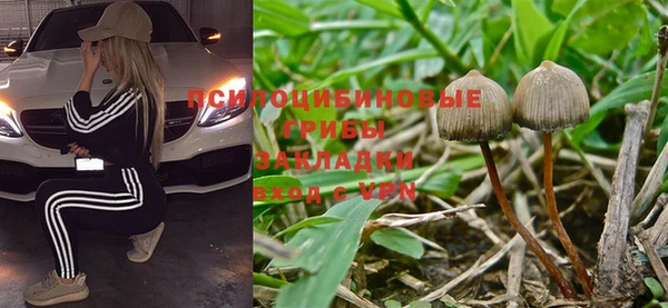 бошки Армянск
