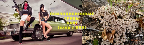 бошки Армянск